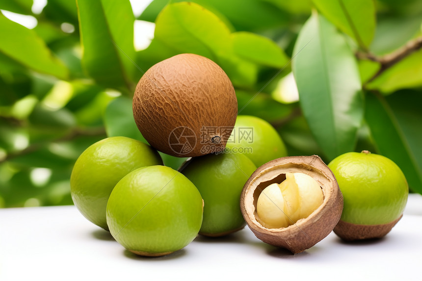 夏威夷果（坚果）